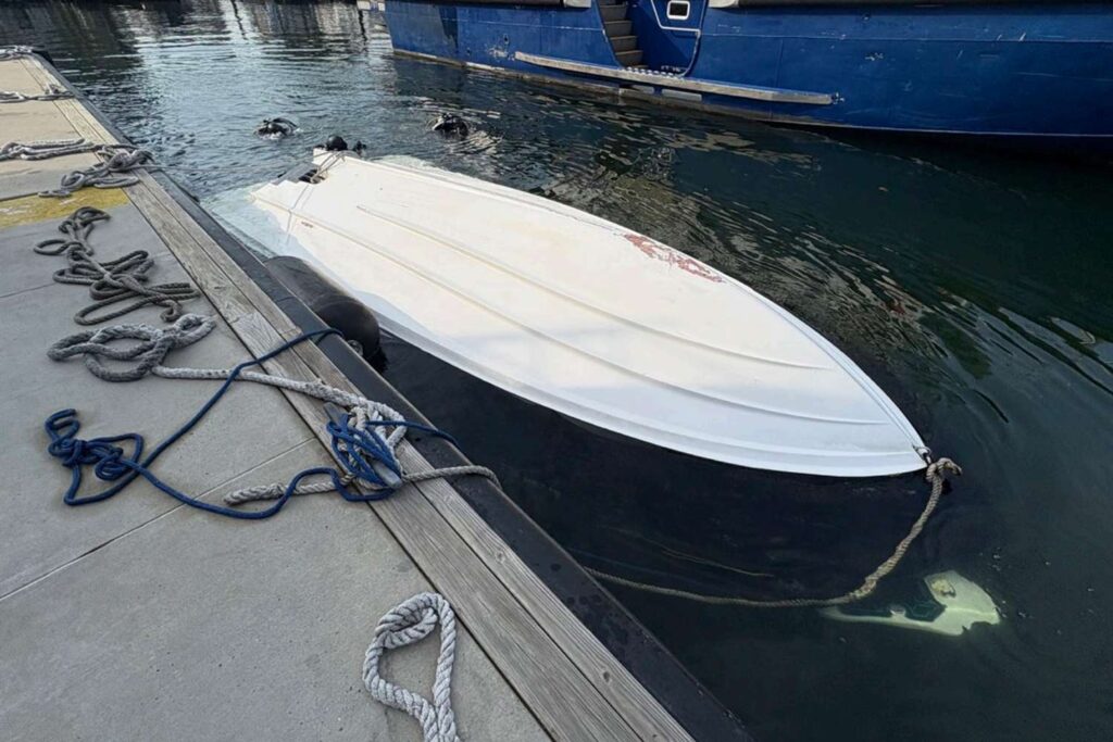 Man Accused in New York Harbor Boat Crash That Killed Woman and Infant Faces Deportation