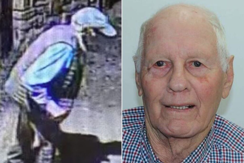 Man Vanished While Driving Home from Dinner with His Wife, Only to Be Found Alive in Crashed Car 2 Days Later