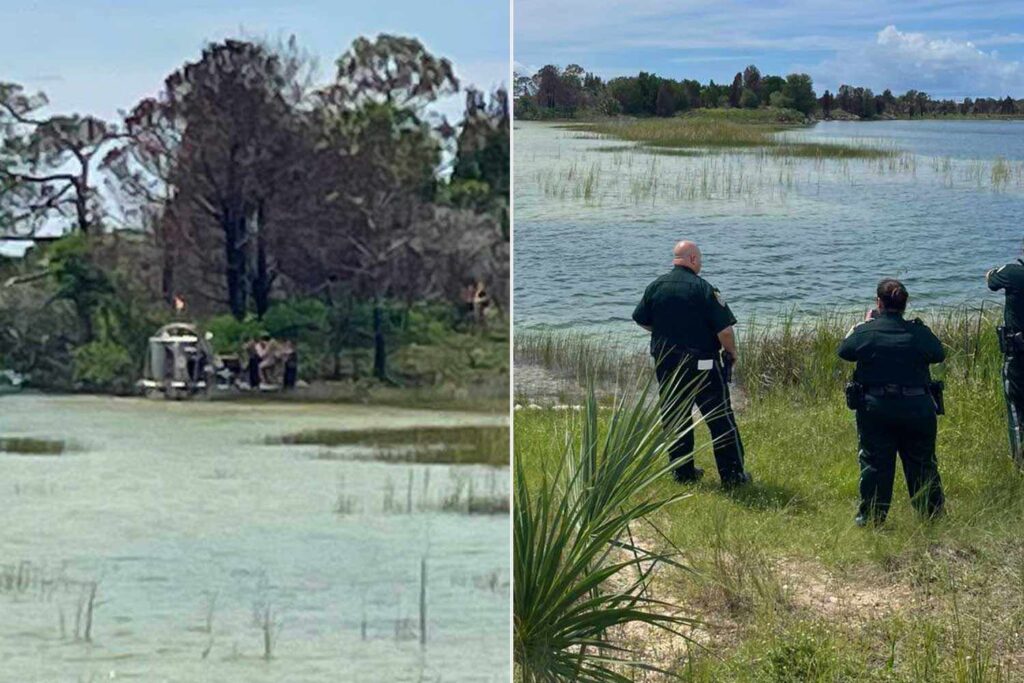Minor Rescued After Being Bitten by an Alligator, Becoming Stranded on Sandbar While Swimming with Friends
