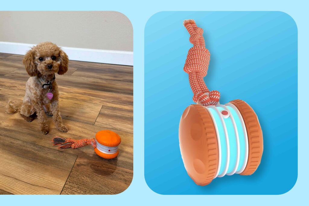 This Electric Dog Toy Keeps Even High-Energy Pups Busy with Zero Effort on Your Part — Get It for Just $20 at Amazon