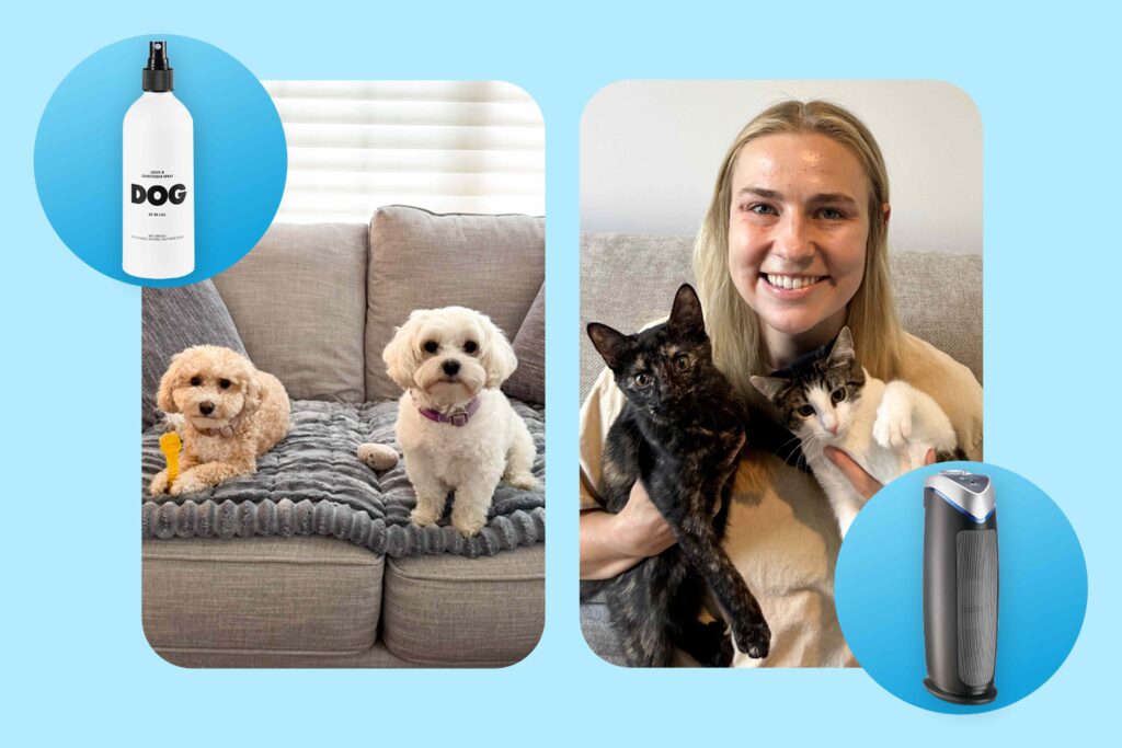 Our Pet-Owning Editors Shared Exactly How They Keep Their Homes Sparkling Clean and Smelling Fresh — from $10