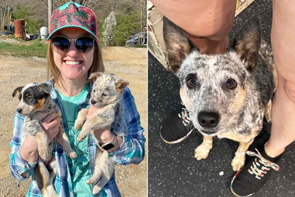 A Puppy Was Born Deaf. Then, Two Hearing Specialists Took Her In and Changed Her Life (Exclusive)