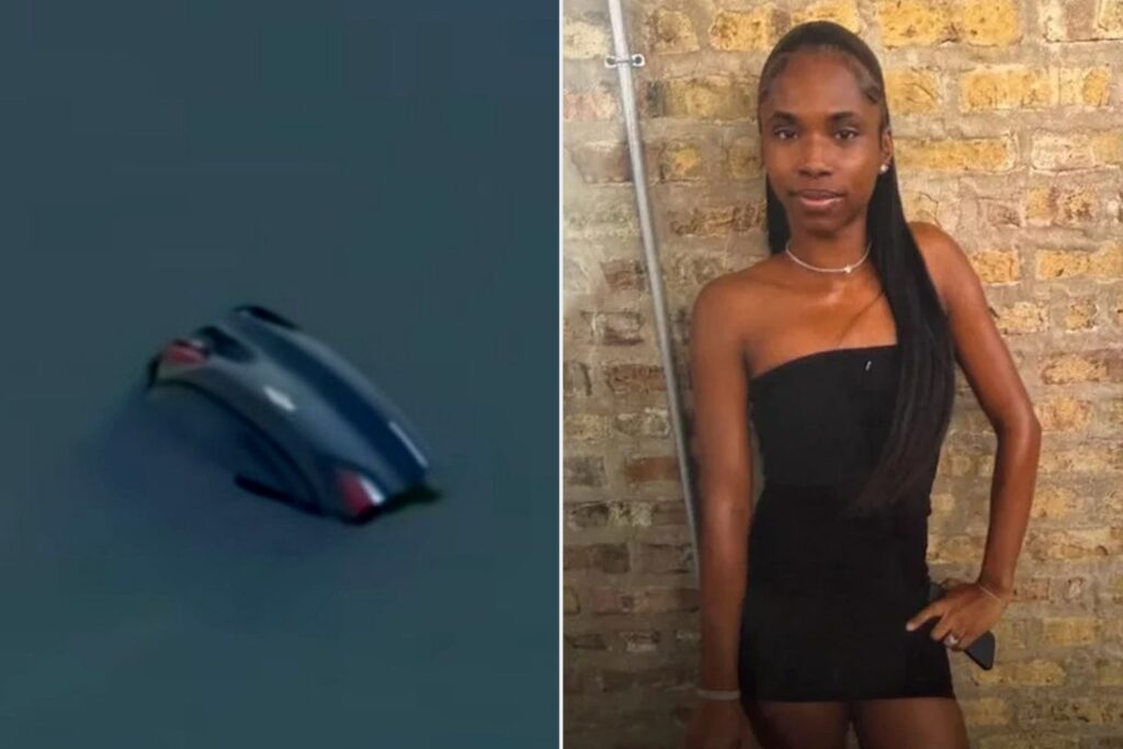 Body of Missing Woman, 26, Found 1 Day After Car Carrying 5 People Plunged into Chicago River