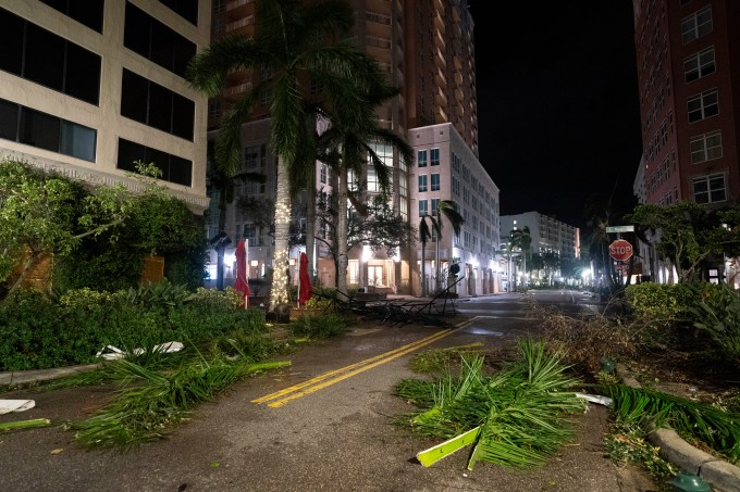 Fallen Palm Trees & Debris in Sarasota