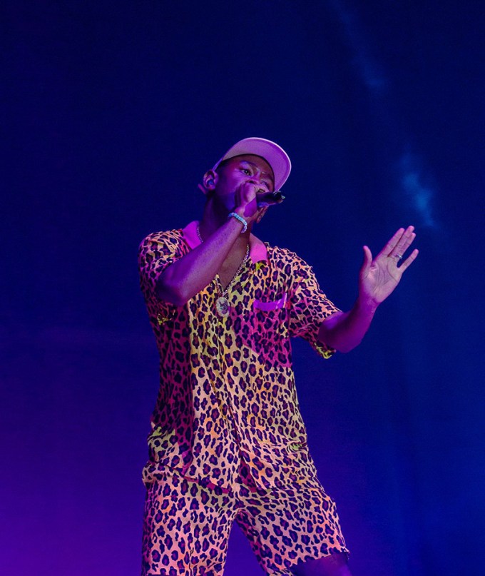 Tyler, the Creator Rocks Leopard Outfit