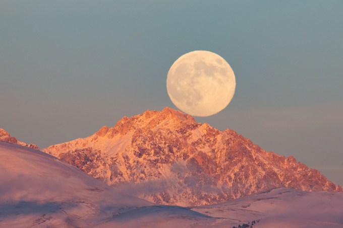 Beaver Moon in Italy