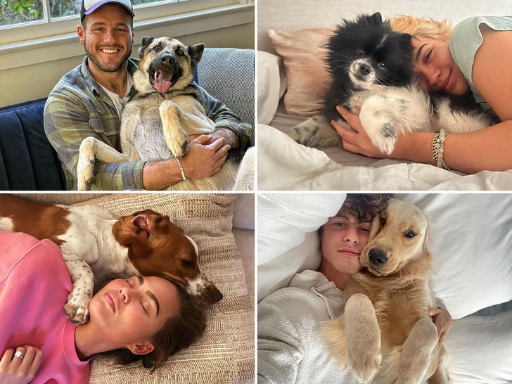 Celebs Cuddling Dogs -- Ruff Life!