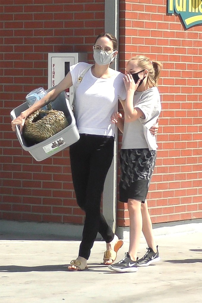 Angelina Jolie & Daughter Vivienne Leave Petco