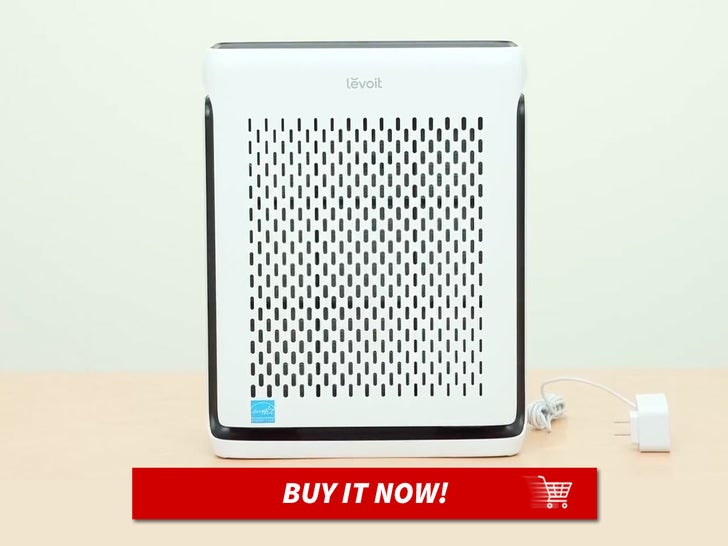 LEVOIT-Air-Purifiers-for-Home-MAIN