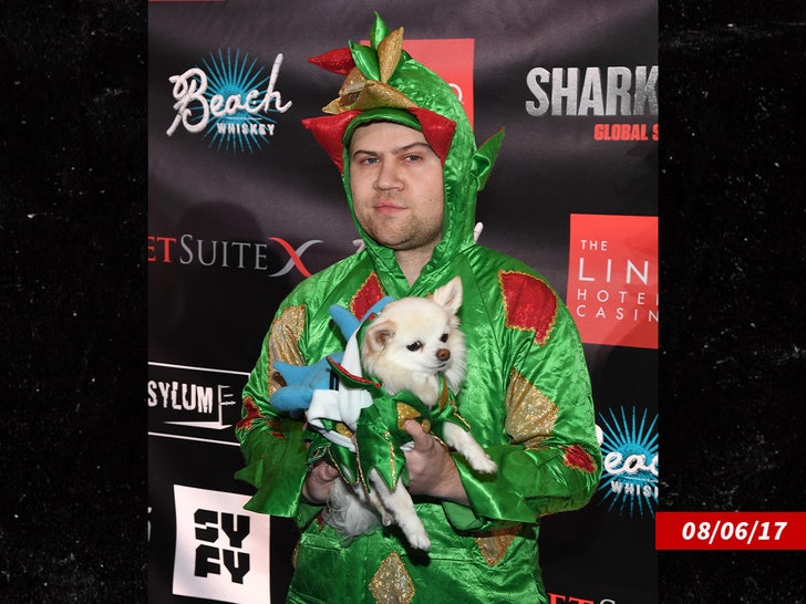 piff the magic dragon mr piffles