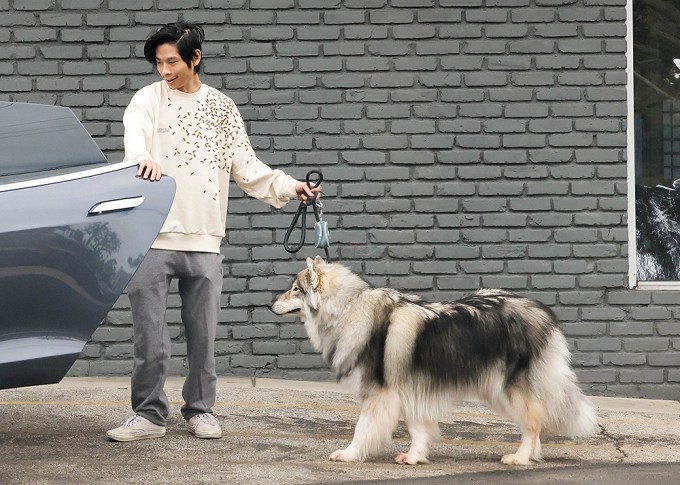 Pax Jolie-Pitt with his dog