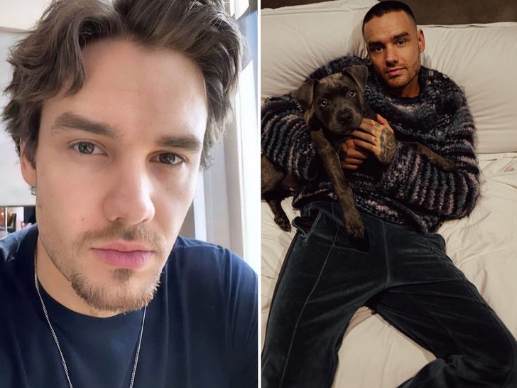 Liam Payne Social Shots