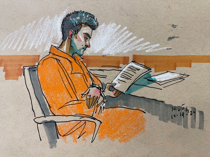 luigi mangione court sketch