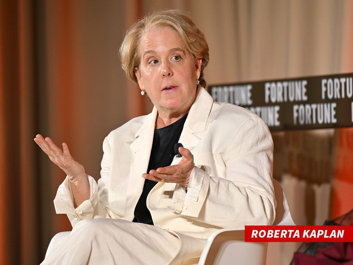 Roberta Kaplan sub getty swipe