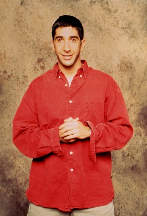 FRIENDS, David Schwimmer, 1994-2004, © Warner Bros. / Courtesy: Everett Collection