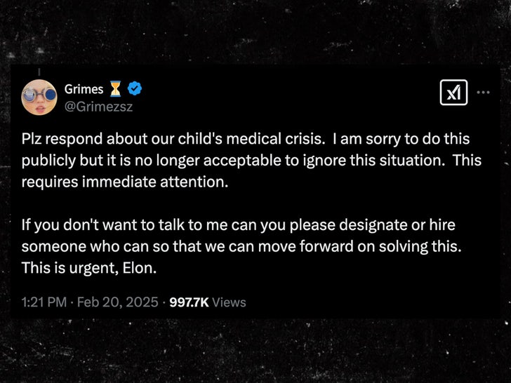 grimes elon musk tweet sub