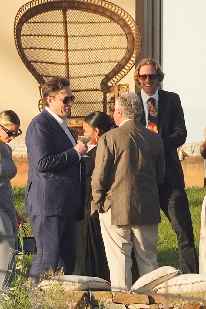 Elon Musk Mingles At A Wedding