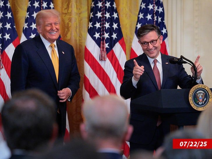 mike johnson donald trump sub getty swipe 1