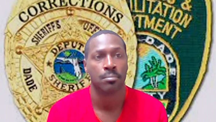 111225_antonio_brown_court_kal