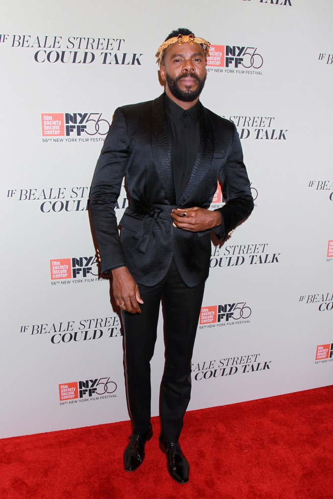 Colman Domingo At ‘If Beale Street Could Talk’ Premiere