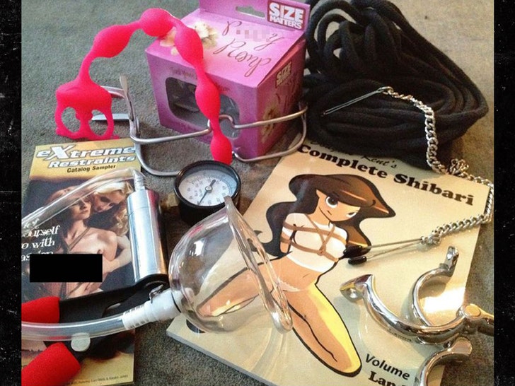 jeffrey epstein sex toys House Oversight Committee Democrats