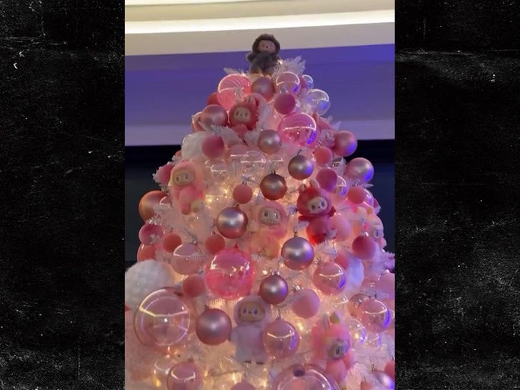 122525_cardi_b_labubu