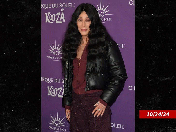cher-sub-getty-2
