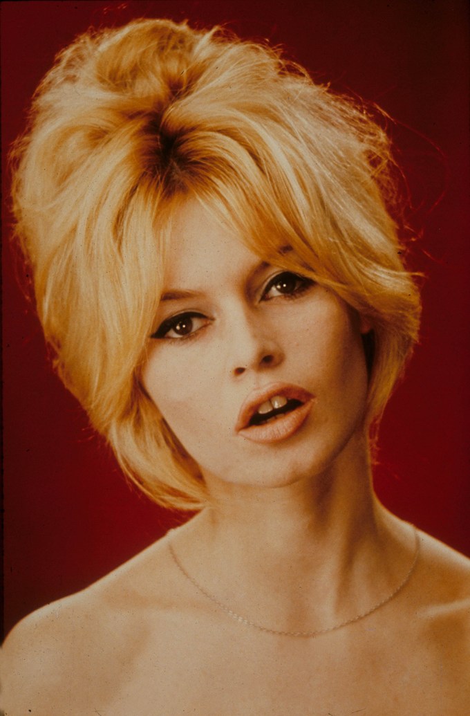 Brigitte Bardot’s Headshot