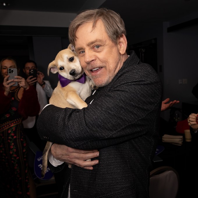 Mark Hamill