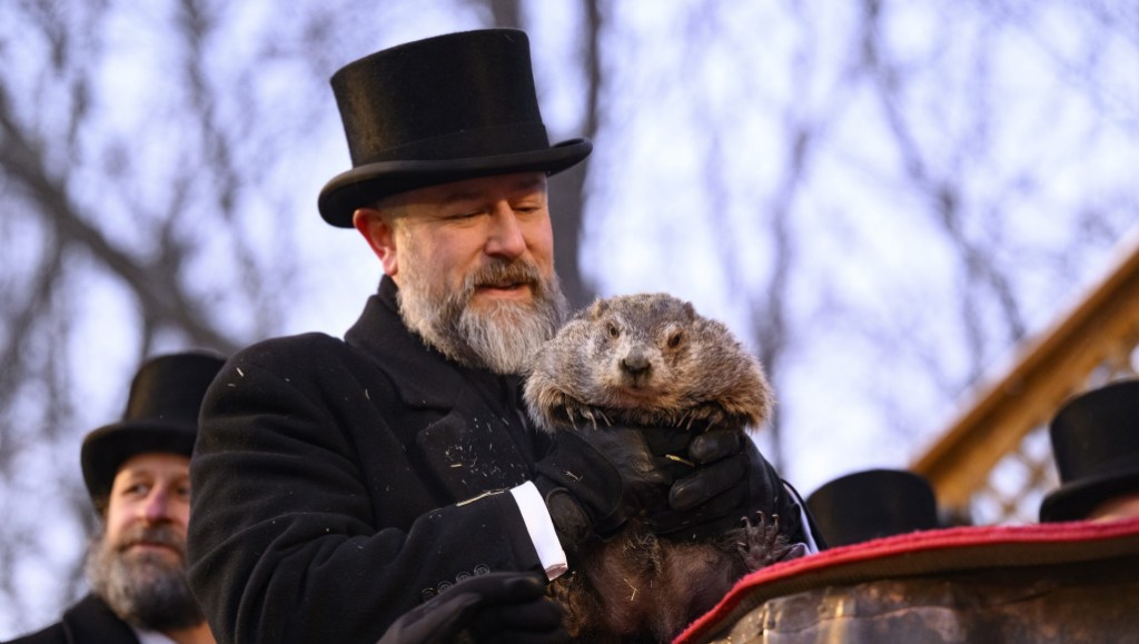 How Old Is Punxsutawney Phil Now? The Groundhog's Age Today