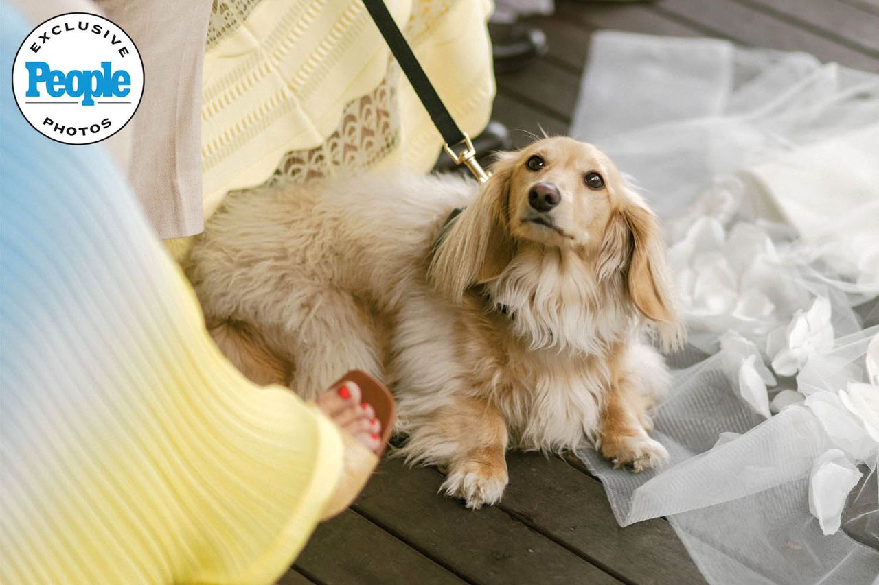 Dog Has Adorable Reaction to Owners Getting Married Hannah Duane Schott , Tyler Joseph Schott and Gus Gus during the wedding ceremony James Anderson Photography