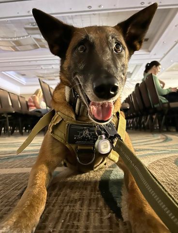 Nemi Lymarie Muniz Velazquez