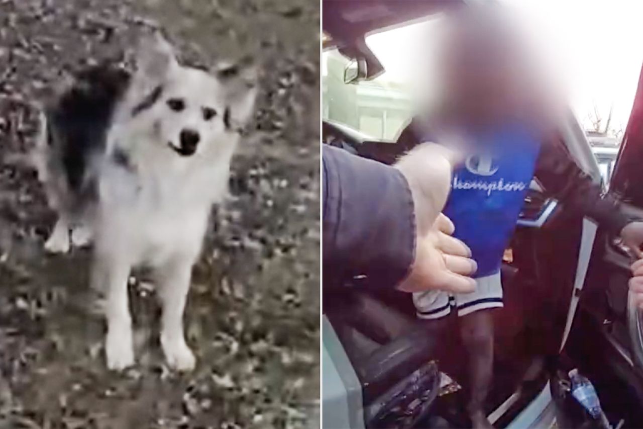 Dog and missing 3-year-old boy in Louisville, Ky. on Feb. 7, 2026 Louisville Metro Police Department