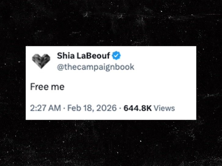 shia labeouf x 1