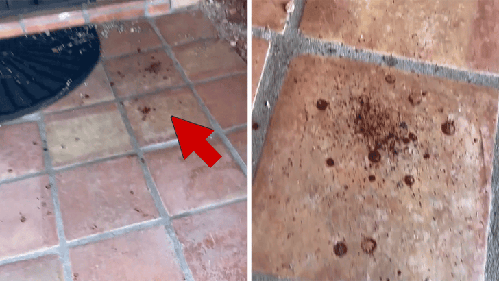 020326_nancy_guthrie_kal