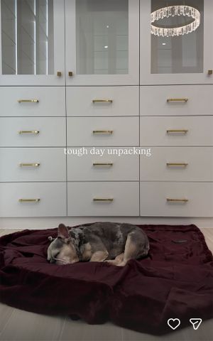 Simone Biles shares photo of her dog relaxing in new Texas home. simone biles/instagram