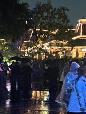 Disneyland Park Guests Hit By Fallen Tree While Sitting Down at Table Disneyland Park Guests Hit By Fallen Tree While Sitting Down at Table Courtesy LeWanda Joseph