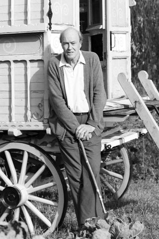 Roald DahlCredit: Tim Jenkins/WWD/Penske Media via Getty