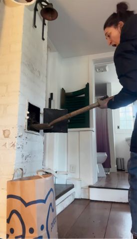 Sara Bareilles discovers animal carcasses in a hole in the wall of her farmhouse and removes them herself with a shovel Sara Bareilles removes an animal carcass from her country home.Credit: Sara Bareilles/Instagram