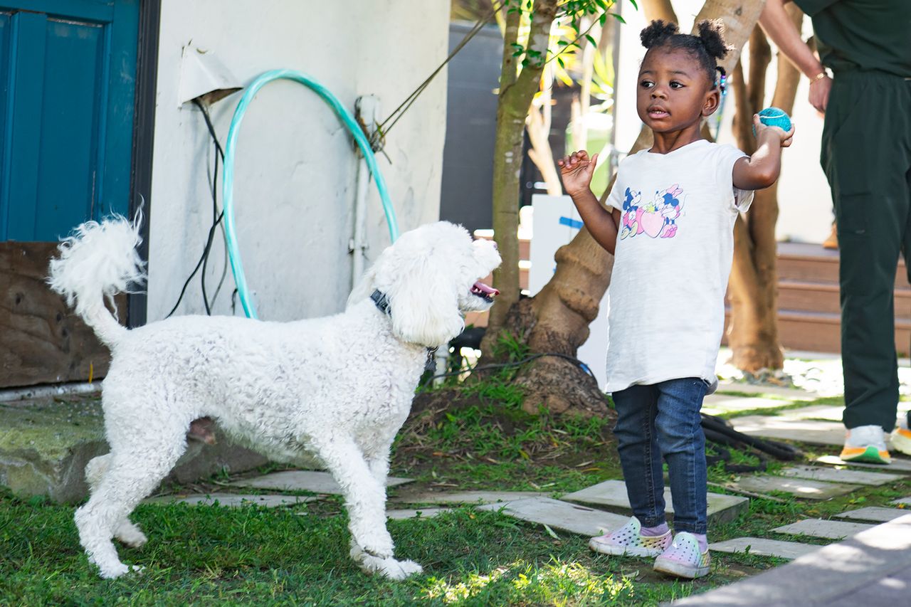 Leila Wiggins playing with a dog at the Abbott event in Los AngelesCredit: Abbott