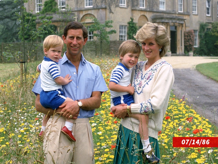princess-diana-prince-william-king-charles-prince-harry-sub-getty-1