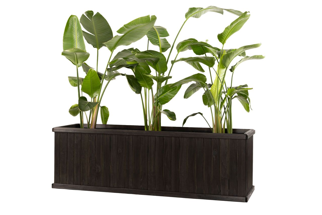 Barros Outdoor Wood Planter Box New green house beauty and hope Raised Garden Bed Credit: Wayfair