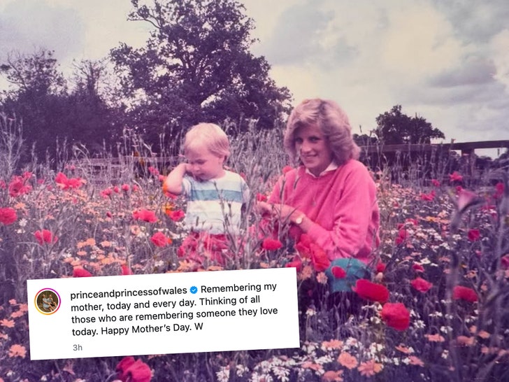 prince-william-princess-diana-sub-ig-1