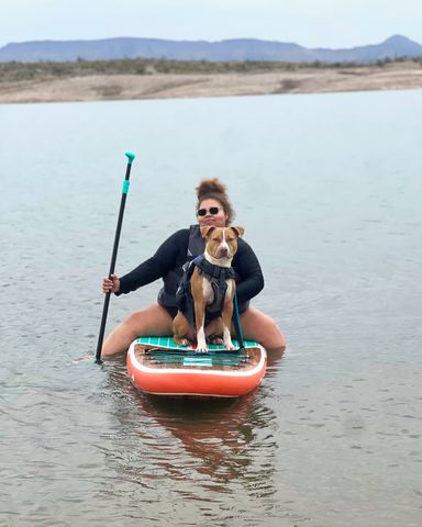 Animal Shelter Staff Took Dog Paddleboarding to Cheer Him Up as He Still Waits for His Forever Home Chance the dog paddleboarding with an Arizona Humane Society employee.Credit: Arizona Humane Society/Facebook