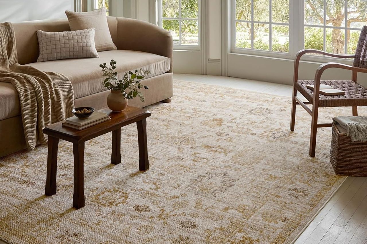 Amazon Loloi Magnolia Home by Joanna Gaines Pace Collection Accent Rug Credit: Amazon