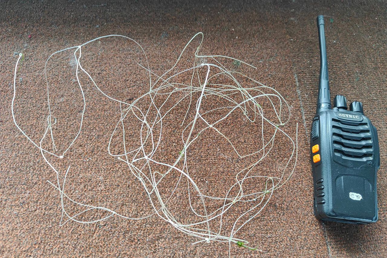 The netting the seal got caught in.Credit: St. Mary's Island Wildlife Conservation Society
