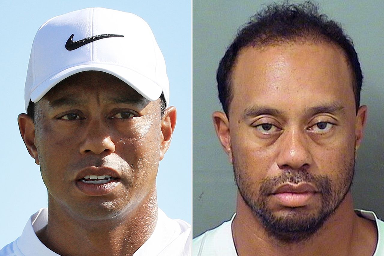 Tiger Woods in December 2017; Tiger Woods 2017 mugshot.Credit: Mike Ehrmann/Getty ; Palm Beach County Sheriff's Office via Getty