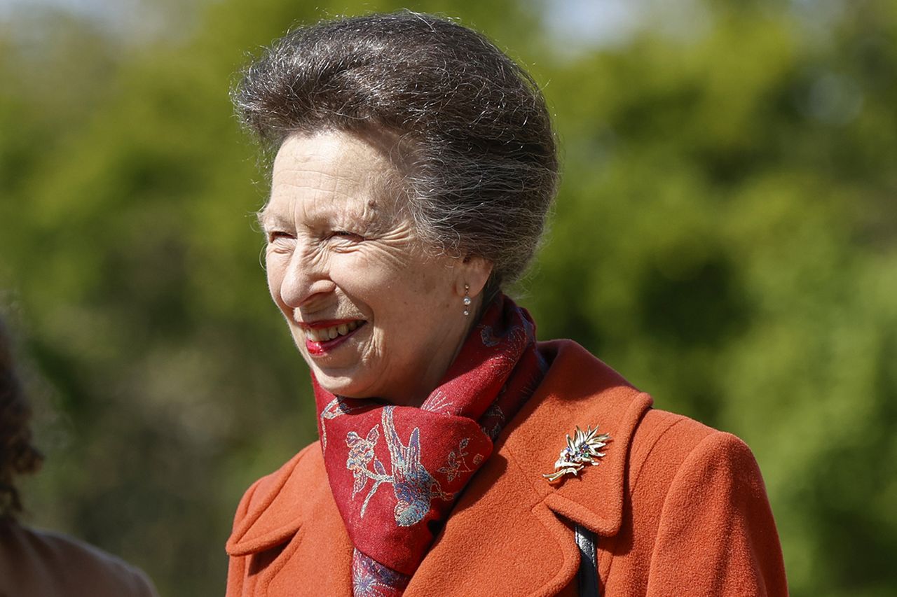 Princess Anne at the opening of opening of The Queen Elizabeth II GardenCredit: John Phillips/Getty