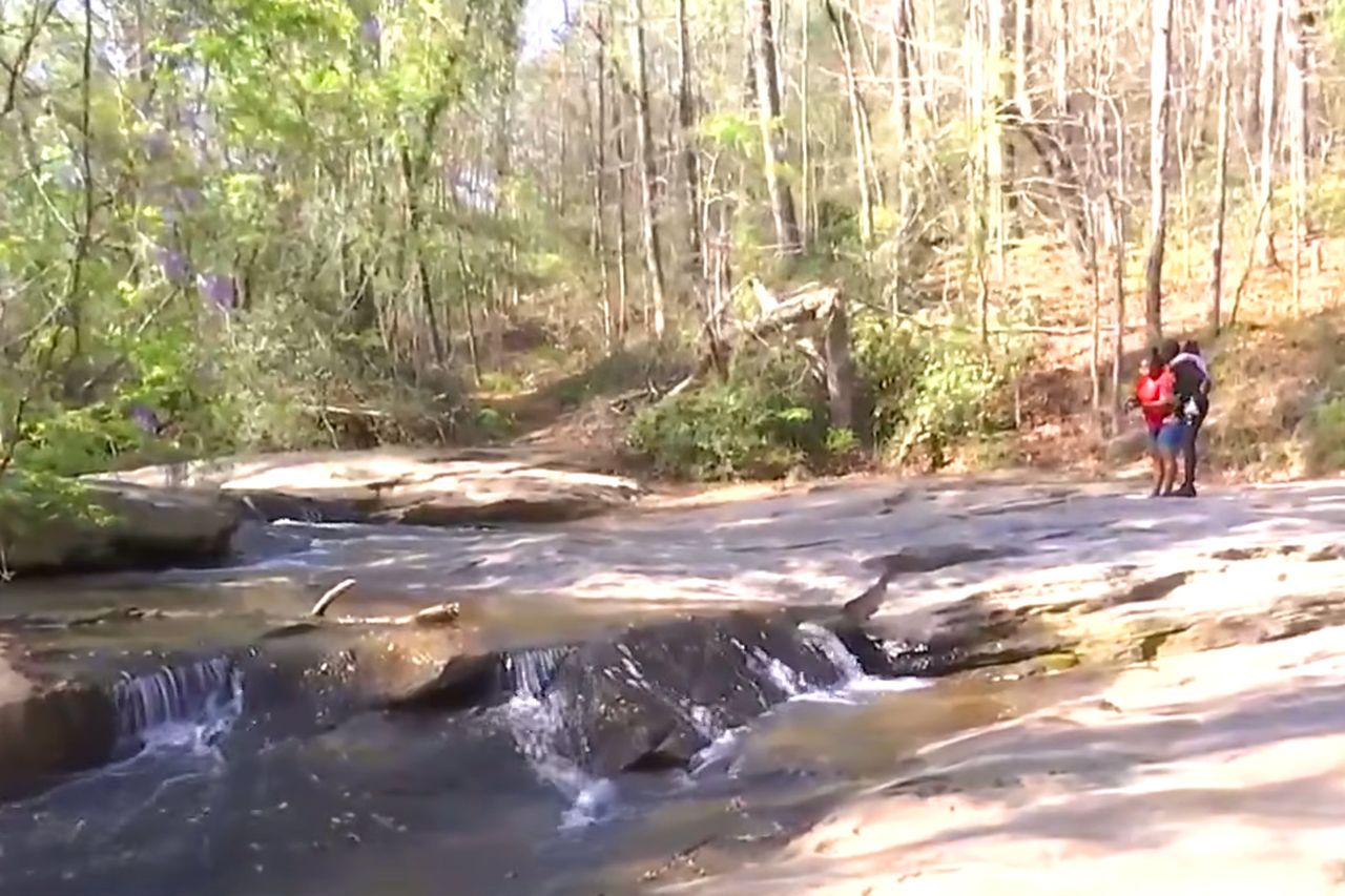 Abel Friday-Williams, boy, 7, drowned trying to save friend, Family Says Bruce Meisner ParkCredit: WSOCTV9/YouTube