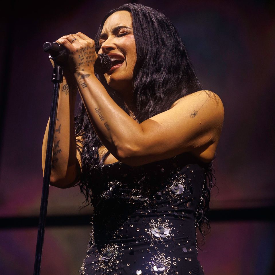 Demi LovatoCredit: Christopher Polk/Shutterstock